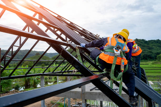 Best Local Roofing Companies  in Longview Heights, WA