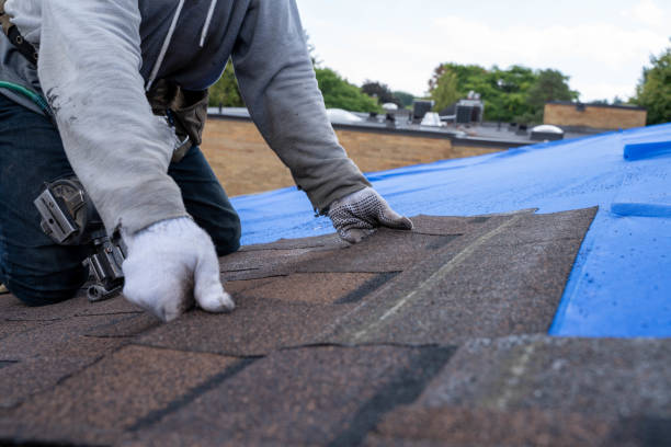 Roof Gutter Cleaning in Longview Heights, WA
